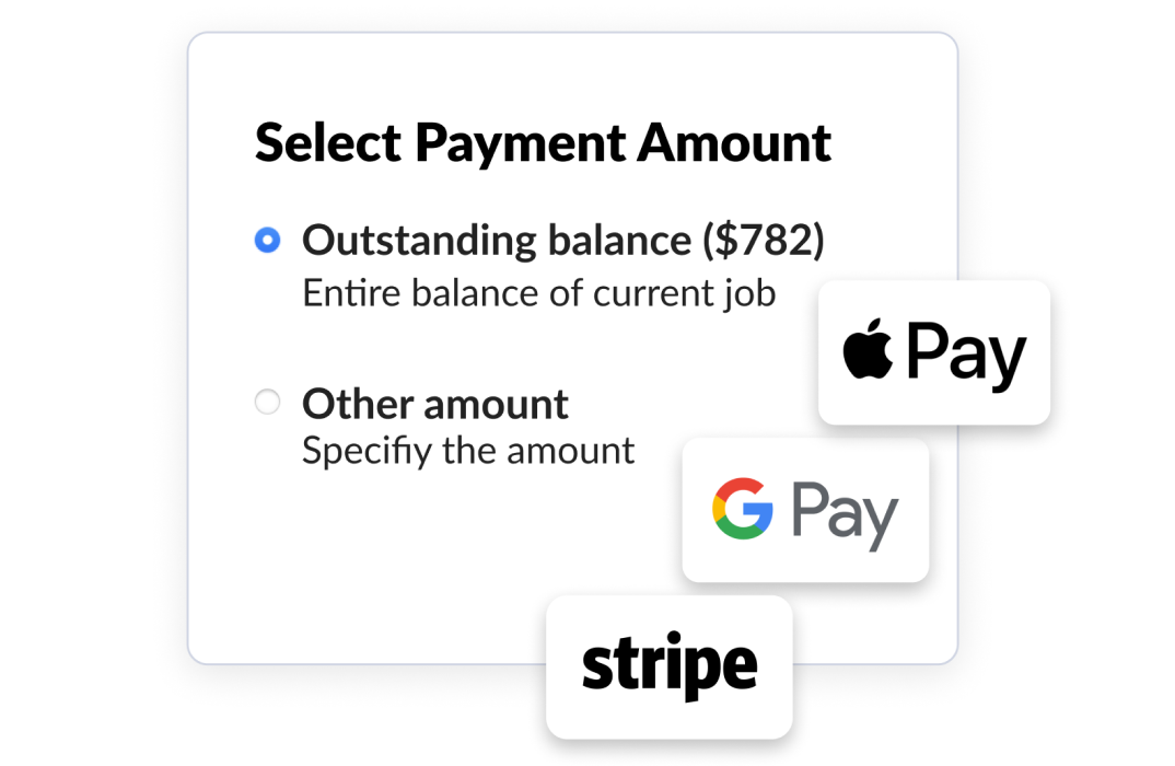 Options to select Payment amounts